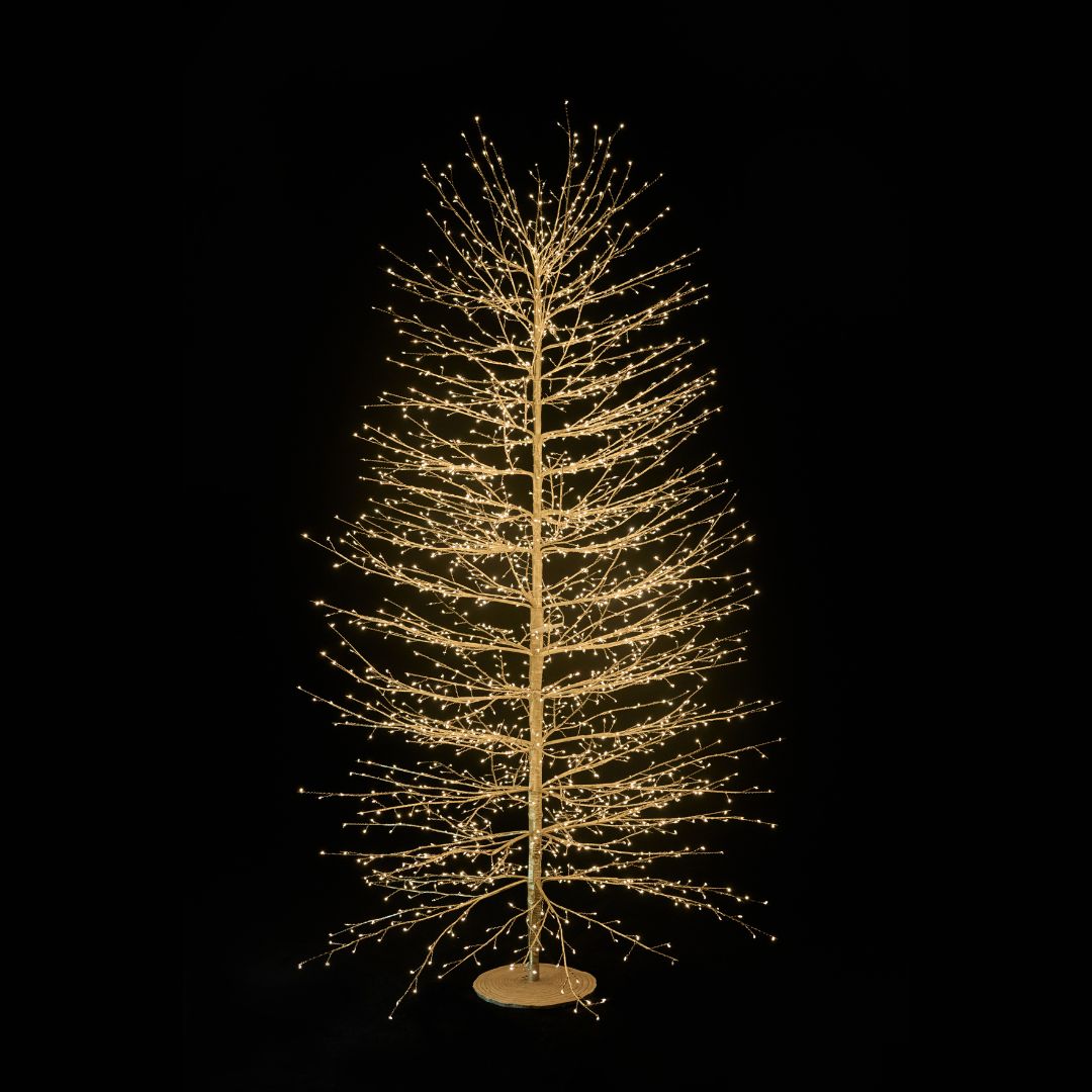 Albero decorativo natalizio dorato con rami sottili illuminato da micro LED bianco caldo su sfondo nero alto 210 cm.