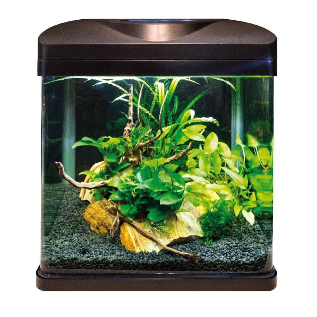Acquario Amtra Laguna LED 30 litri allestito con piante.