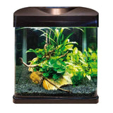 Acquario Amtra Laguna LED 30 litri allestito con piante.
