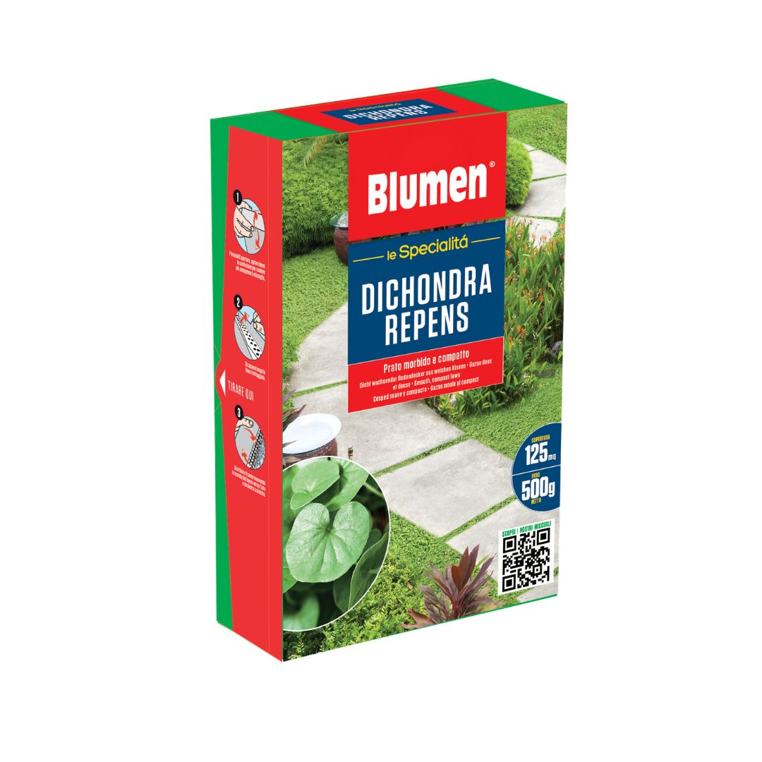 Confezione Blumen Le Specialità Dichondra Repens da 500 g, sementi per creare un prato morbido e compatto, indicate per una superficie fino a 125 m²