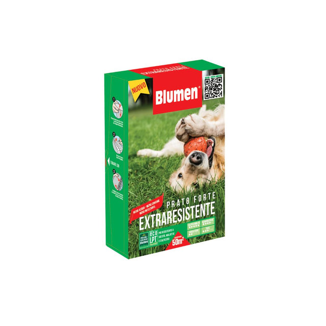 Blumen Prato Forte Extraresistente, miscuglio di sementi per prato resistente al calpestio