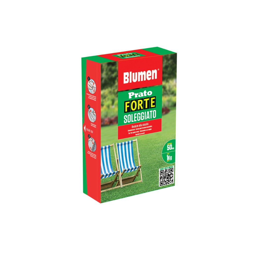 Confezione Blumen Prato Forte Soleggiato da 1 kg, miscuglio per prato resistente alla siccità e adatto alle zone soleggiate, indicato per una superficie fino a 50 m²