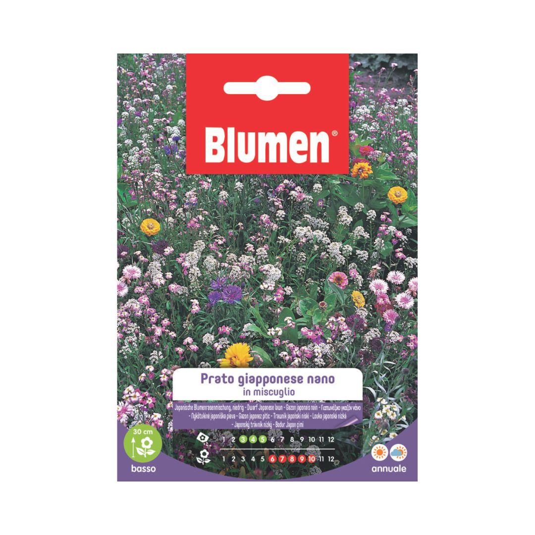 Confezione Blumen Prato Giapponese Nano in miscuglio, miscela annuale di fiori colorati per creare prati fioriti ornamentali bassi fino a circa 30 cm