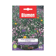 Confezione Blumen Prato Giapponese Nano in miscuglio, miscela annuale di fiori colorati per creare prati fioriti ornamentali bassi fino a circa 30 cm