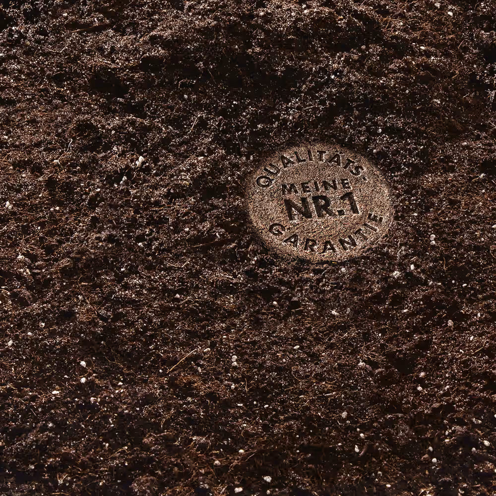 Terriccio Compo per bonsai