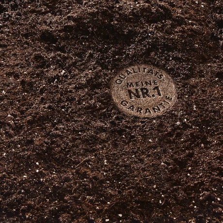 Terriccio Compo per bonsai