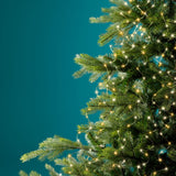 Rami di albero natalizio con micro LED bianco caldo e giallo tradizionale su sfondo turchese.