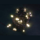 Catena luminosa con 20 micro LED a luce bianco caldo su filo scuro, accesa in un ambiente buio.