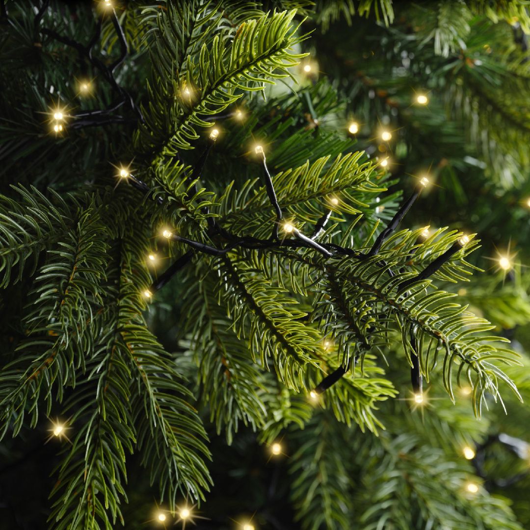 Dettaglio catena luminosa da 2208 micro LED color champagne con cavo nero su rami di albero di Natale.