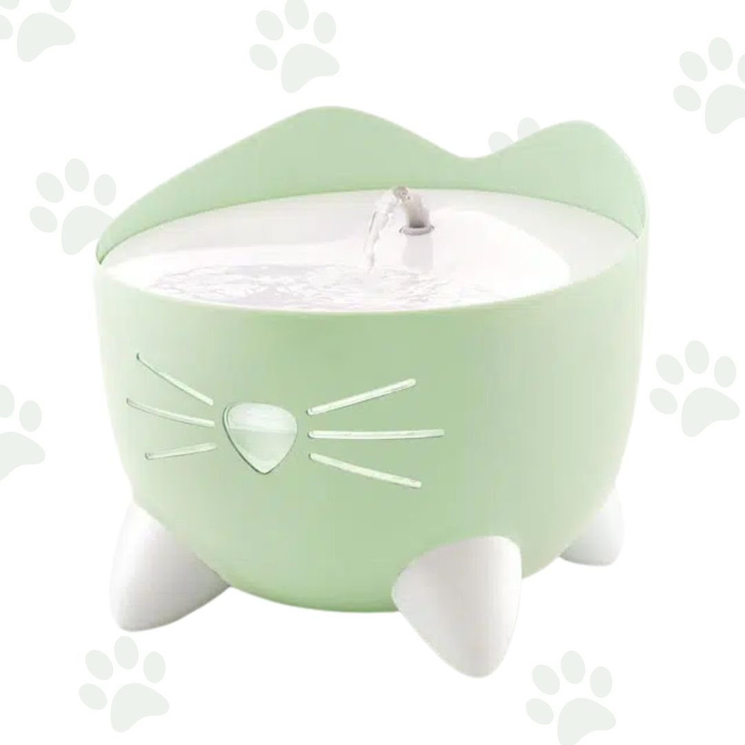 Fontana per gatti Catit Pixi verde.