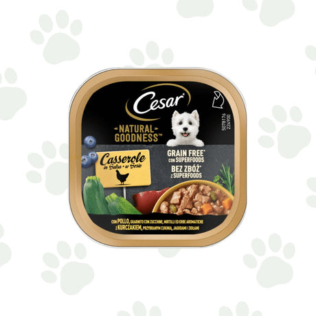Vaschetta di cibo umido per cani Cesar Casserole con pollo, zucchine, mirtilli ed erbe. 