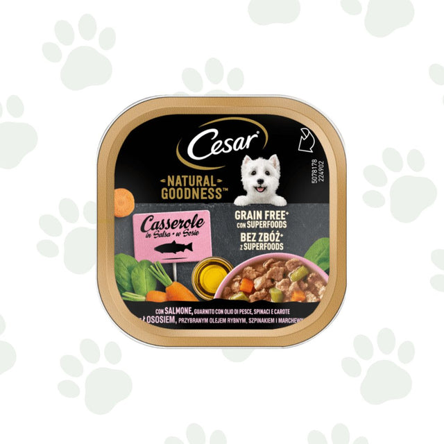 Vaschetta di cibo umido per cani Cesar Casserole con salmone, olio di pesce, spinaci e carote. 