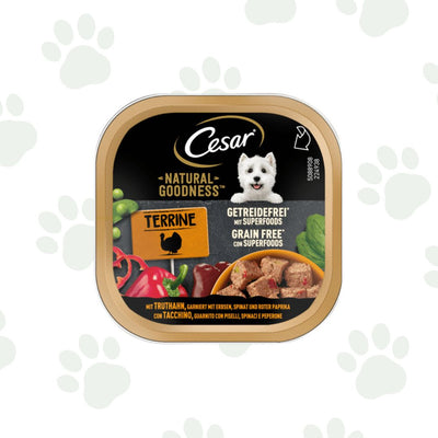 Vaschetta di cibo umido per cani Cesar Terrine tacchino, piselli, spinaci e peperone. 