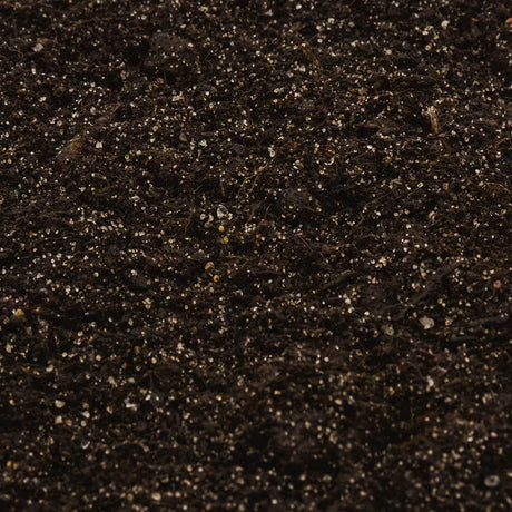 Terriccio Compo sana per tappeti erbosi