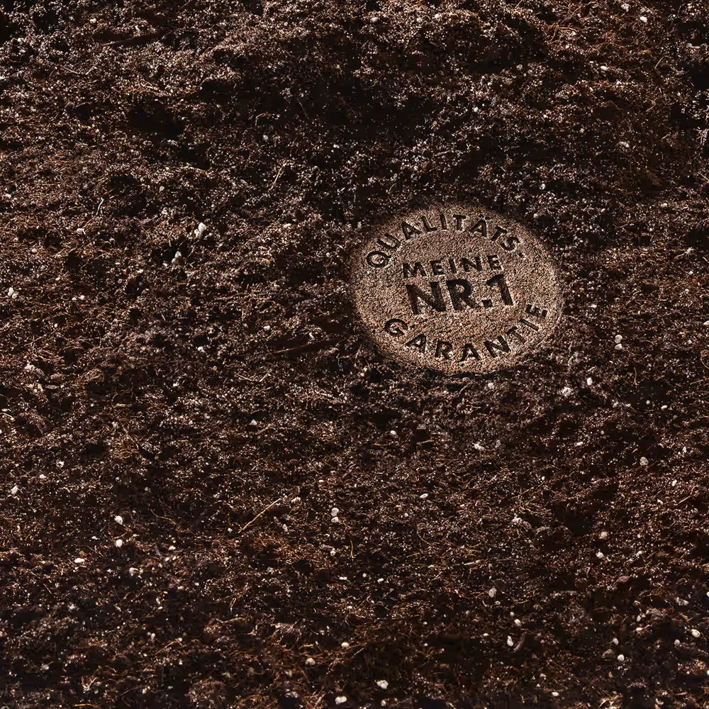 Dettaglio della miscela di terriccio universale compo con particelle di sabbia e perlite