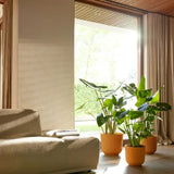 Ambiente interno con tre piante verdi con coprivaso in plastica giallo.