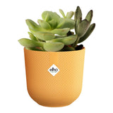 Piccolo coprivaso in plastica riciclata di colore giallo con piantina succulenta.