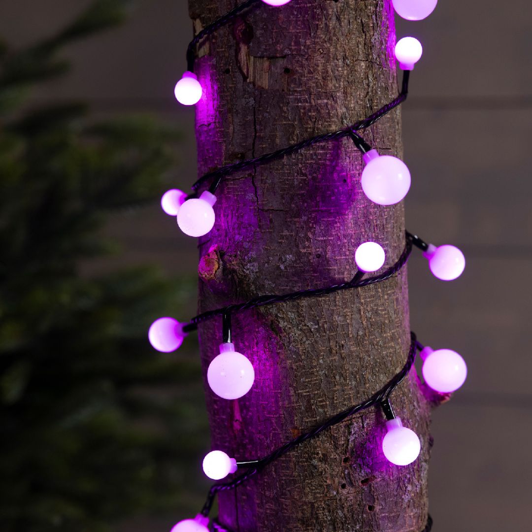 Luci LED multicolore a forma di ciliegia, avvolte attorno al tronco di un albero, illuminate di color fucsia.
