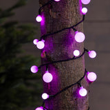 Luci LED multicolore a forma di ciliegia, avvolte attorno al tronco di un albero, illuminate di color fucsia.