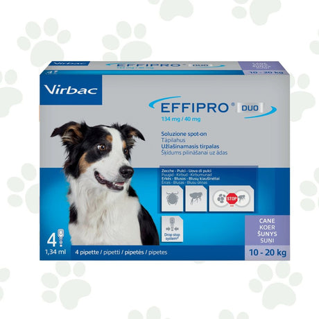 Confezione da quattro pipette di antiparassitario per cani 10-20 kg Effipro Duo.