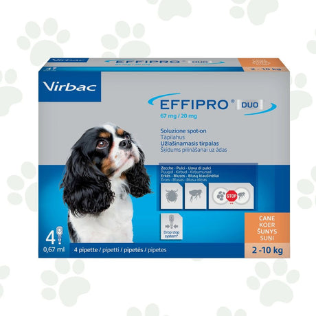 Confezione da quattro pipette di antiparassitario per cani 2-10 kg Effipro Duo.