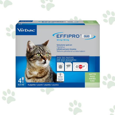 Confezione di 4 pipette antiparassitario per gatto Effipro Duo.