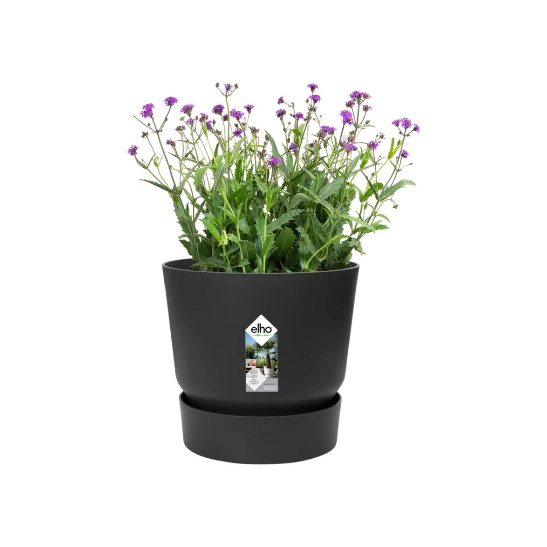 Vaso nero Elho greenville round con pianta fiorita.
