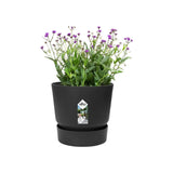 Vaso nero Elho greenville round con pianta fiorita.
