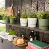 Vasi Elho Greenville Round con piantine aromatiche posizionate su mensole.