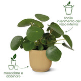 Coprivaso in plastica riciclata disponibile in vari colori e misure.