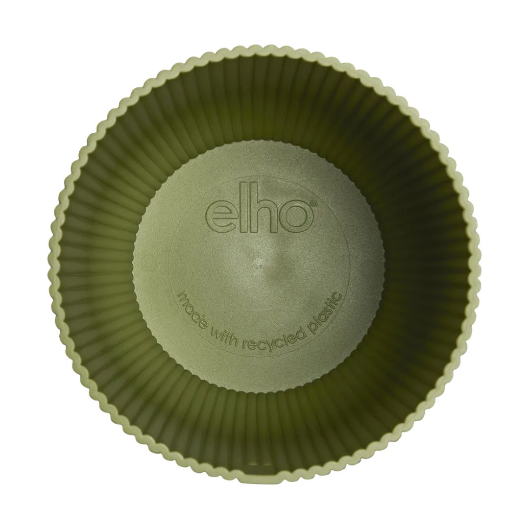 Interno del coprivaso in plastica verde.