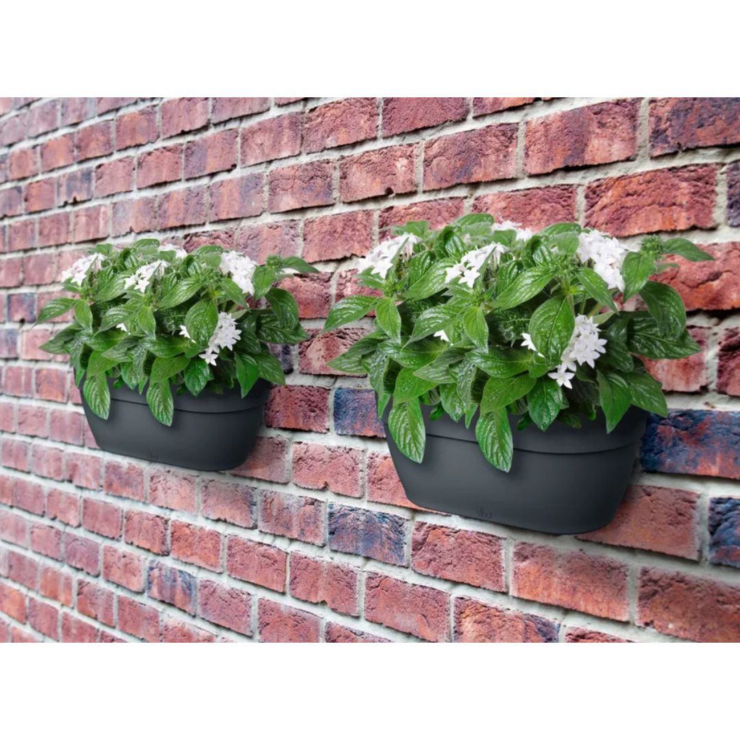 Due fioriere da muro con piante color antracite appese a un muro di mattoni.