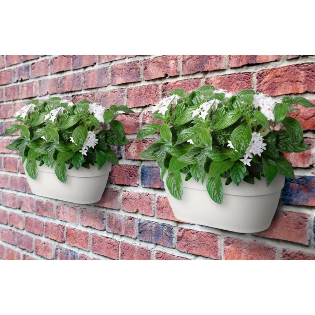 Due fioriere da muro con piante color bianco appese a un muro di mattoni.
