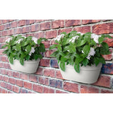 Due fioriere da muro con piante color bianco appese a un muro di mattoni.