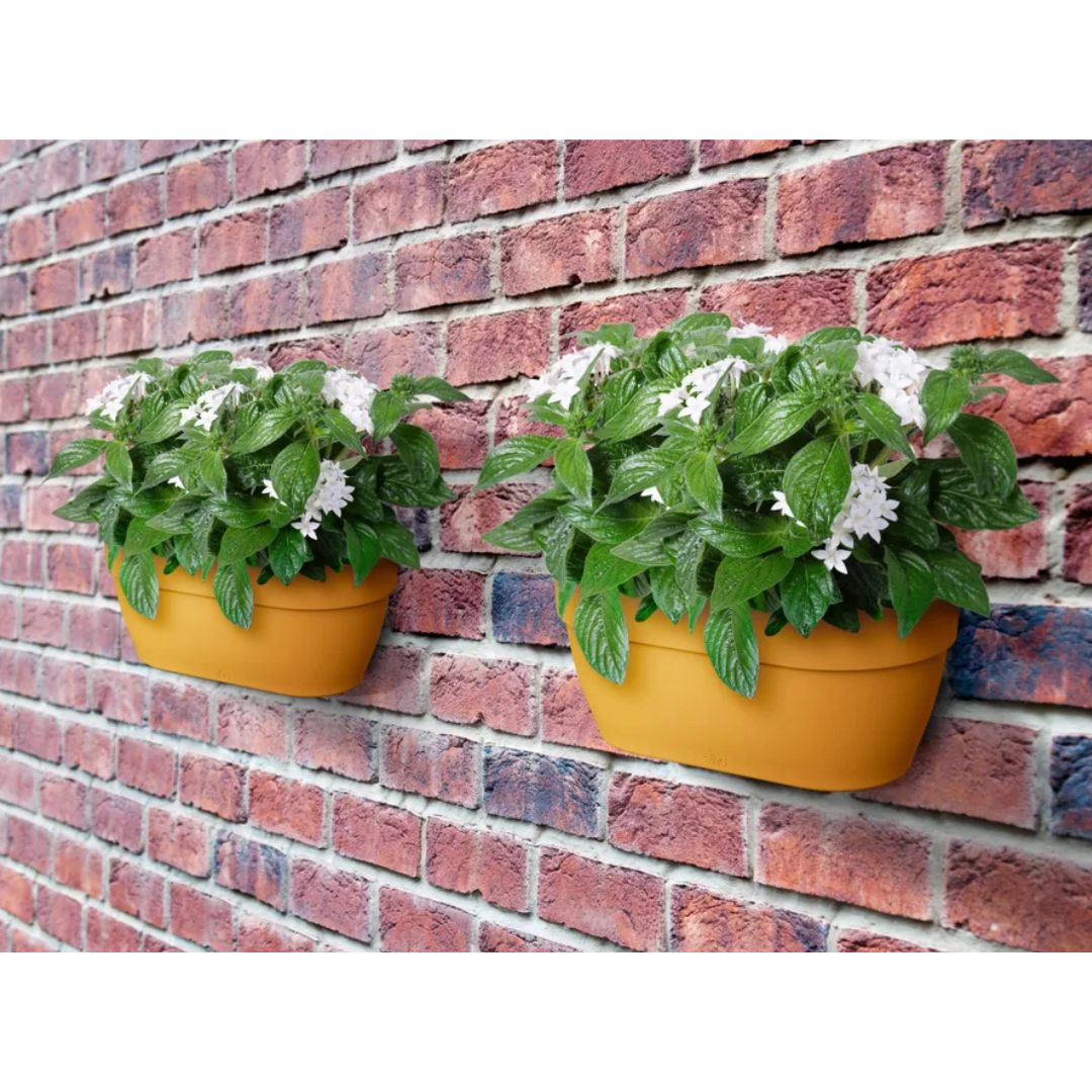 Due fioriere da muro con piante color giallo appese a un muro di mattoni.