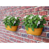 Due fioriere da muro con piante color giallo appese a un muro di mattoni.