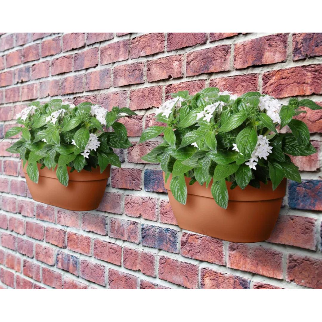 Due fioriere da muro con piante color terracotta appese a un muro di mattoni.