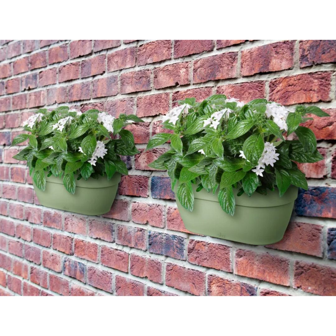 Due fioriere da muro con piante color verde appese a un muro di mattoni.