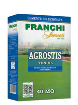 Confezione di Agrostis Tenius da 40mq