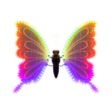 Farfalla decorativa 60 cm con LED multicolore