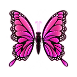 Farfalla decorativa rosa 60 cm illuminata con LED