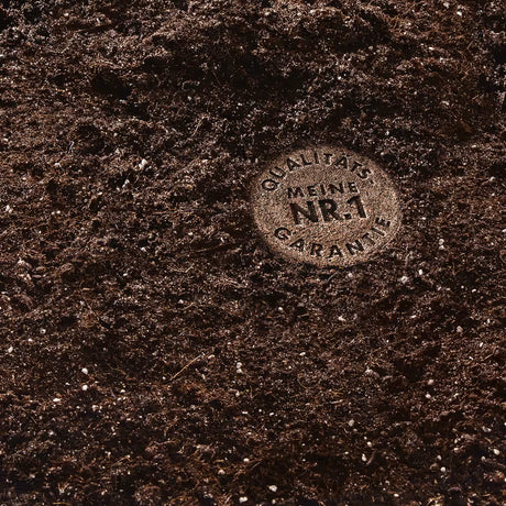 Terriccio Compo cactea per cactacee e piante grasse