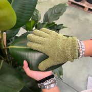 Guanto verde in microfibra che pulisce una foglia di pianta da interno