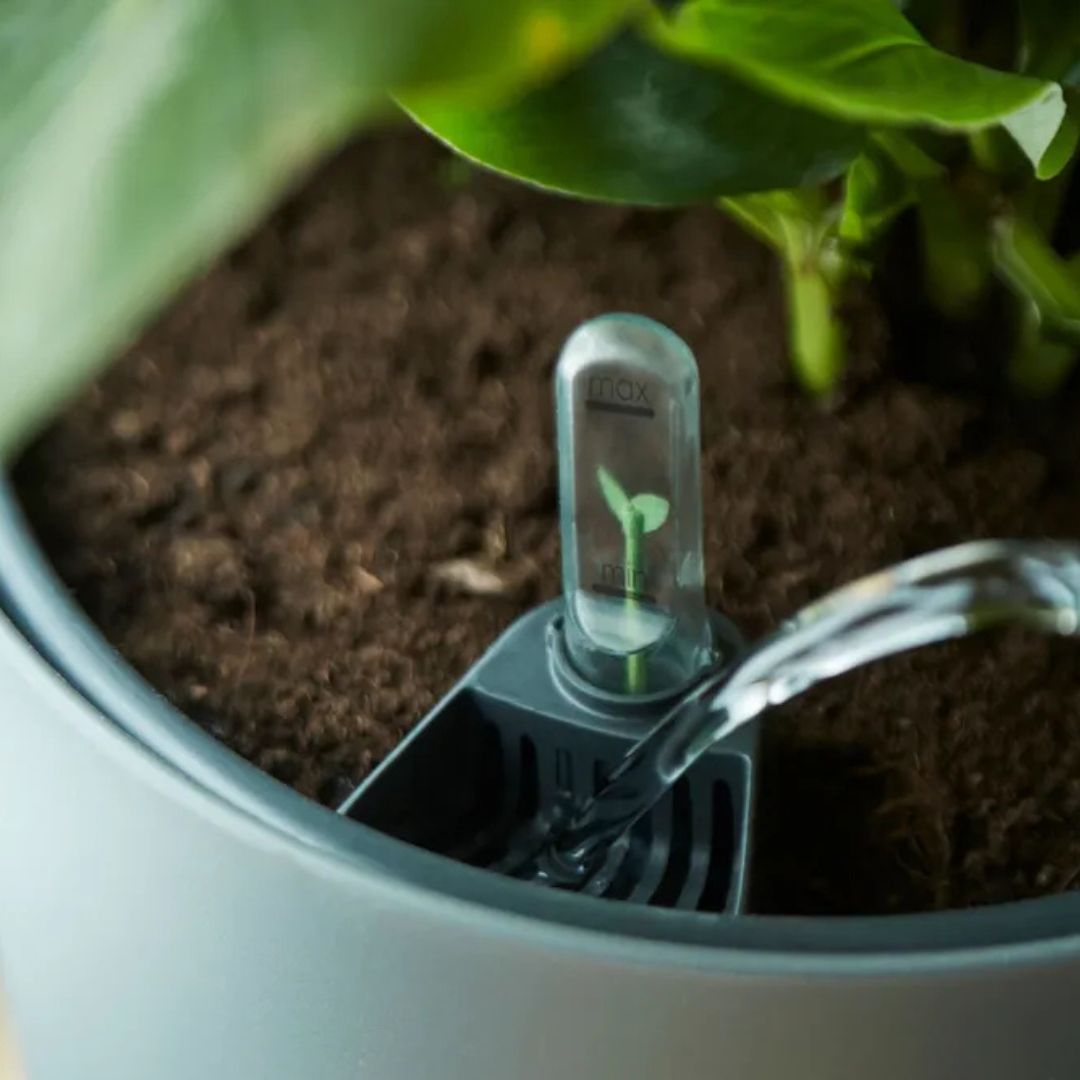 Dettaglio dell'indicatore del livello di acqua dell'inserto auto-irrigante Elho.