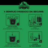 Passaggi per l'autoproduzione di sidro.