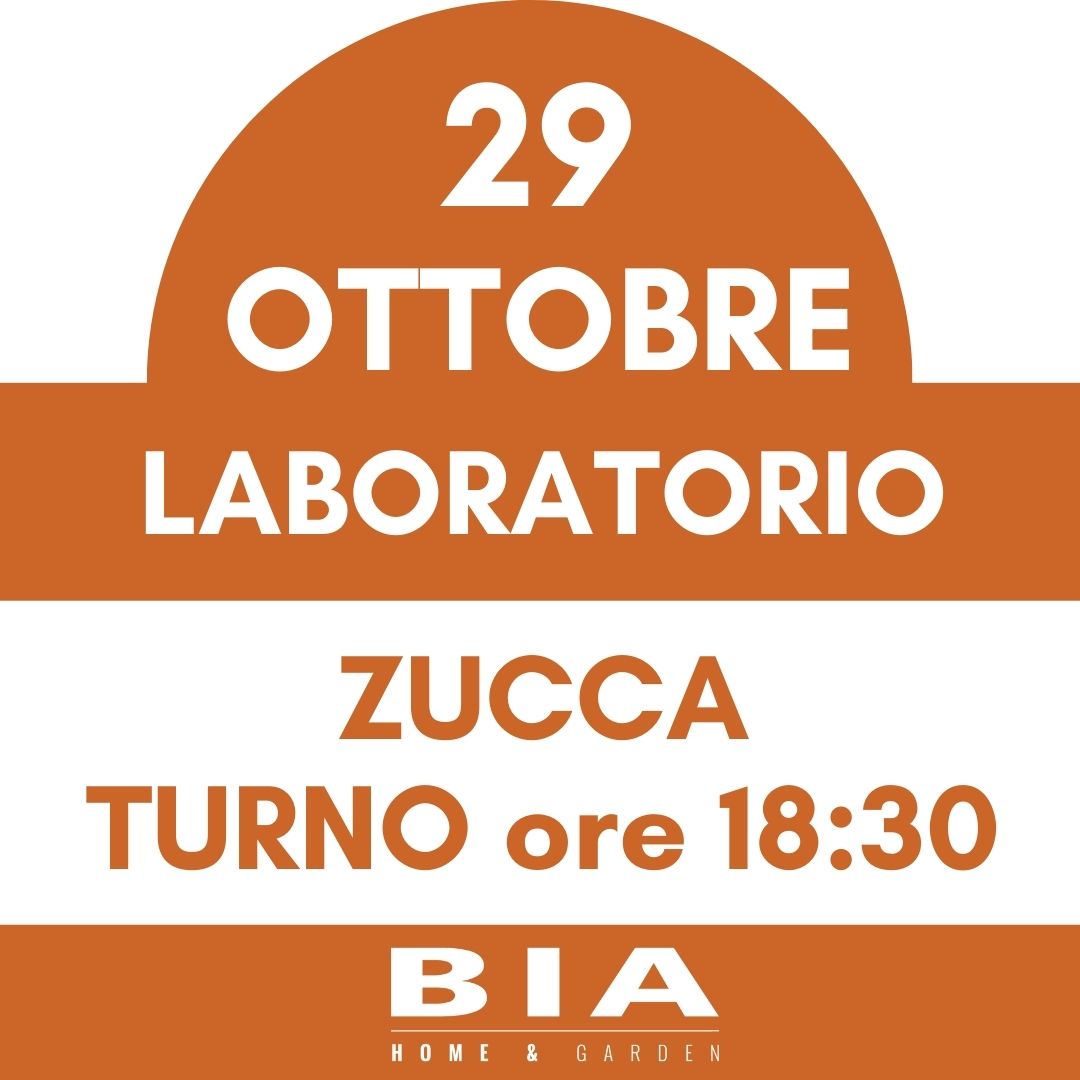 Intaglio della zucca - 29 Ottobre 2025 - Laboratorio bambini