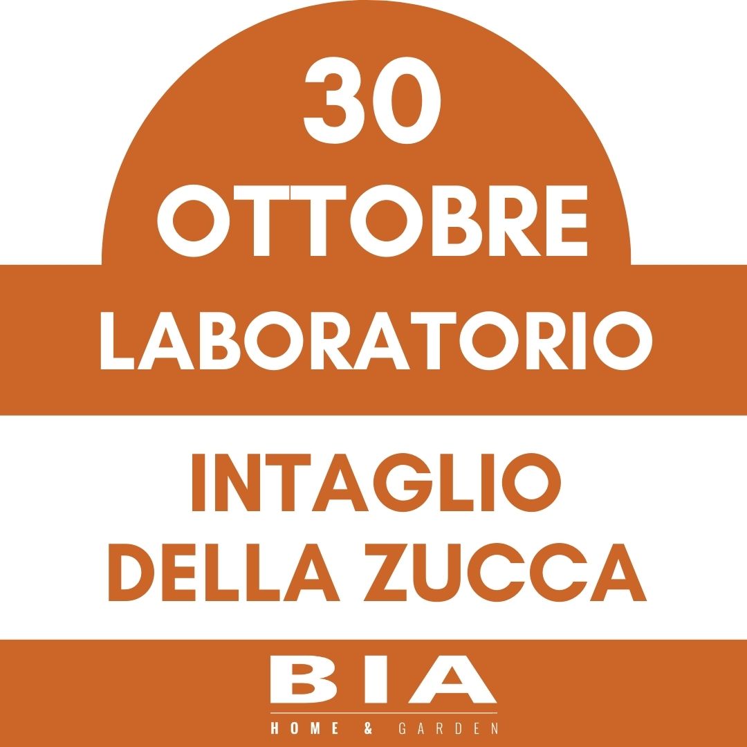 Intaglio della zucca - 30 Ottobre 2025 - Laboratorio bambini