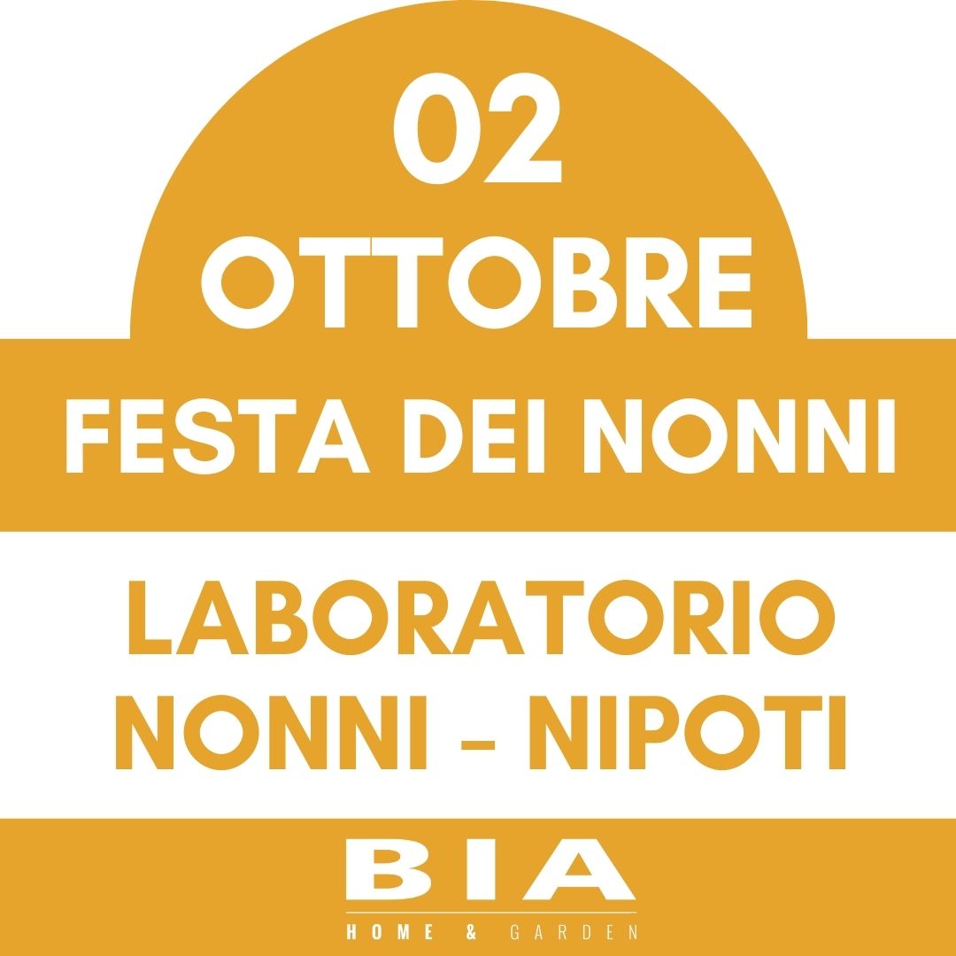 Festa dei nonni - 2 Ottobre 2025 - Laboratorio bambini