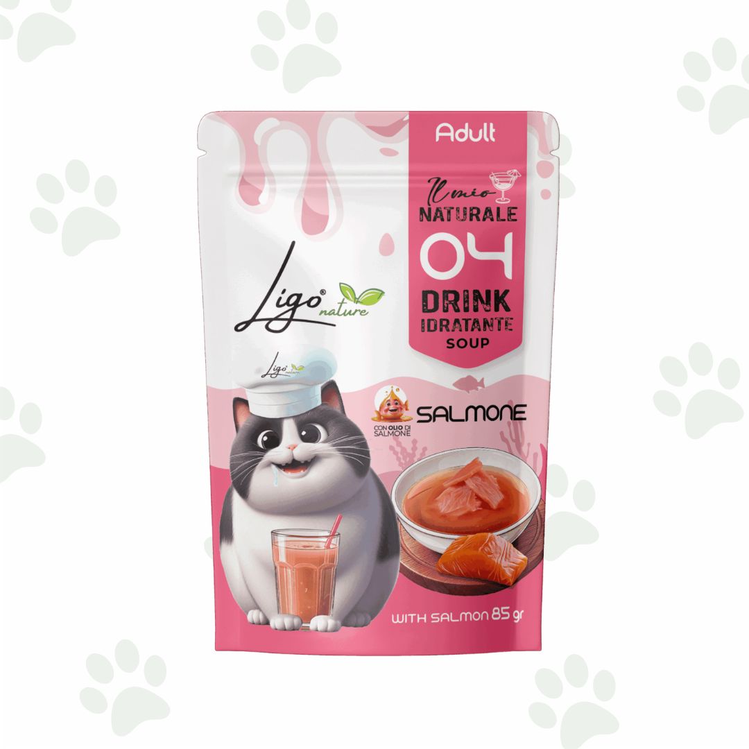 Bustina di alimento liquido per gatti con salmone.