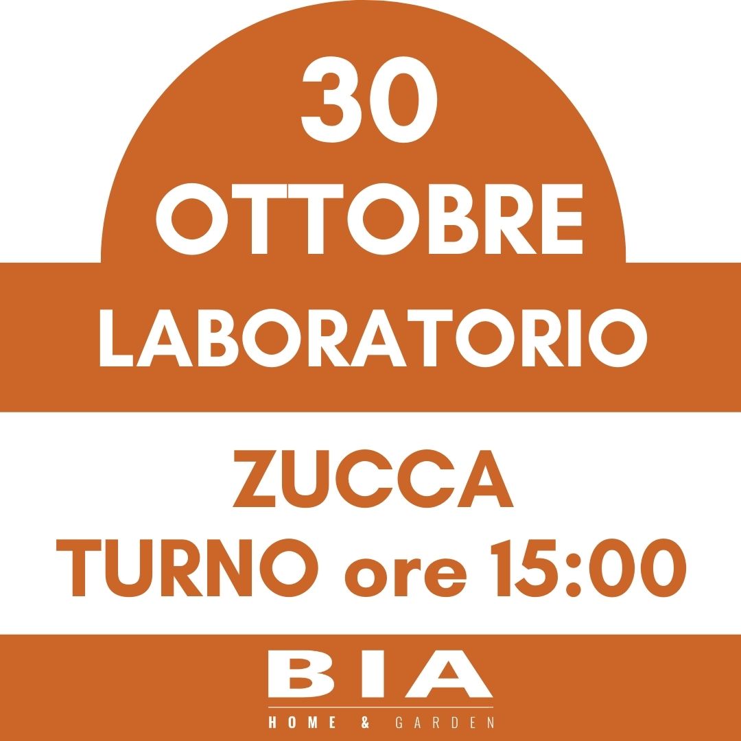Intaglio della zucca - 30 Ottobre 2025 - Laboratorio bambini